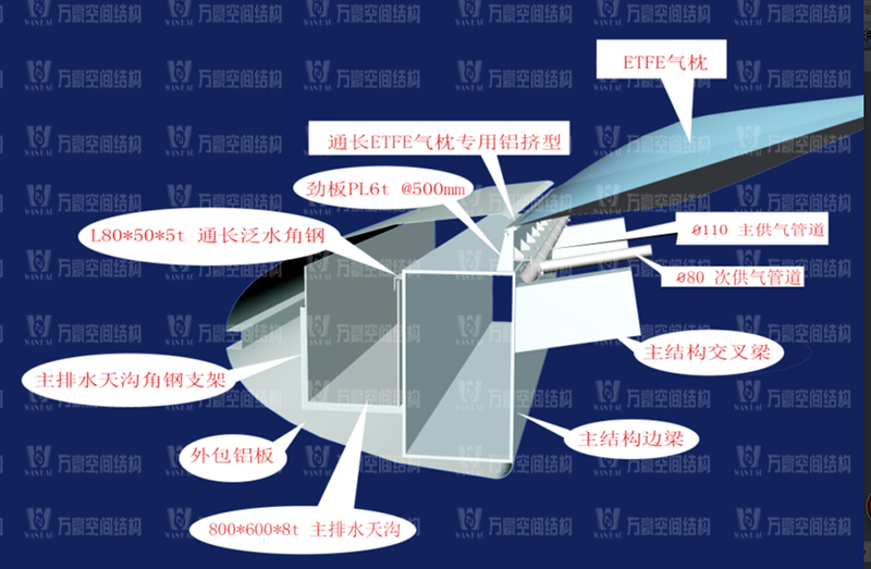 ETFE膜結構優(yōu)質結構獎|橫琴中拉經貿園區(qū)ETFE天幕膜結構項目 ETFE膜結構優(yōu)質結構獎|橫琴中拉經貿園區(qū)ETFE天幕膜結構項目