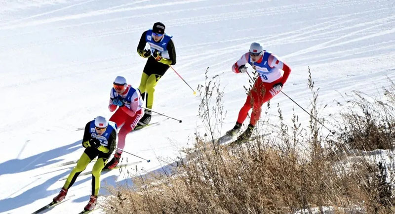 北京冬奧會有哪些項目？在哪些場館進(jìn)行？
