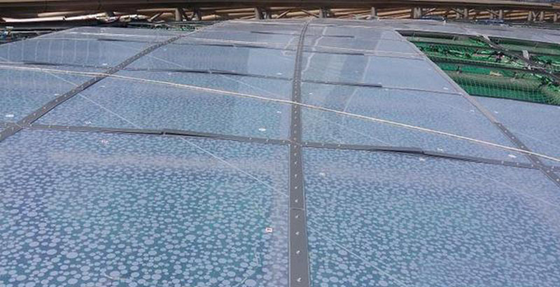 ETFE膜結(jié)構(gòu)有哪些種類？ETFE膜結(jié)構(gòu)是如何分類的？