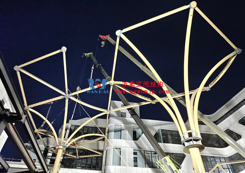 中國(guó)東盟特色商品匯聚中心膜鋼構(gòu)工程火熱施工中