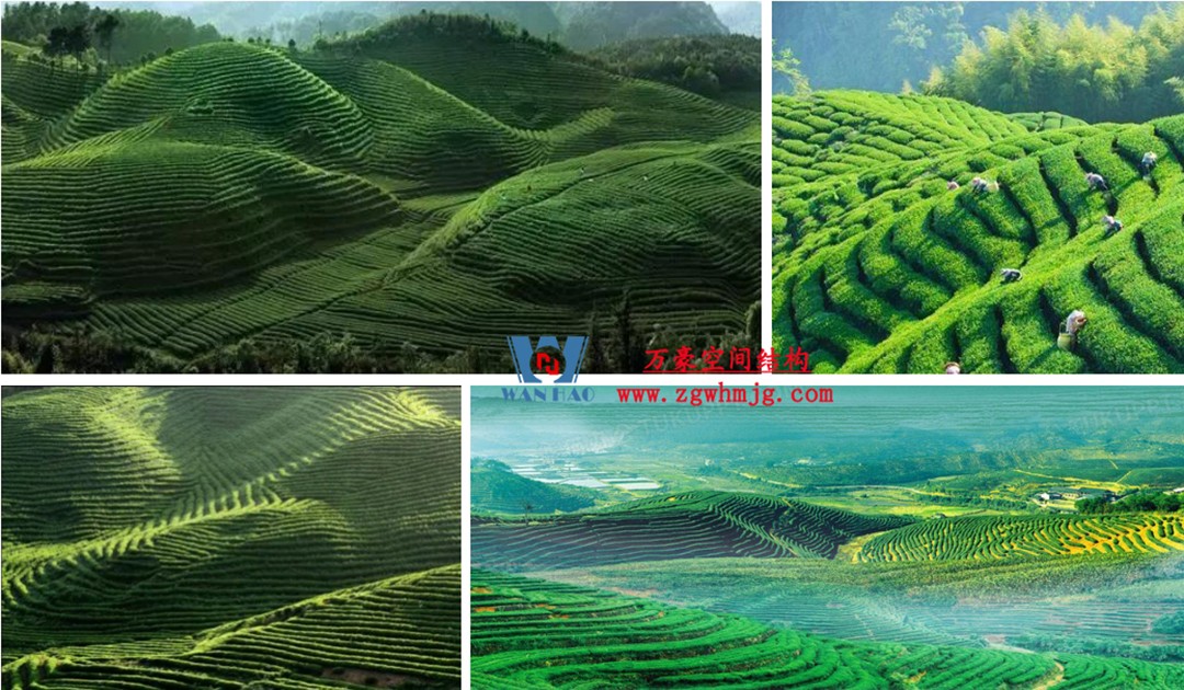 案例欣賞/復雜鋼膜結(jié)構建筑/杭州博多森谷ETFE氣枕連廊天幕項目