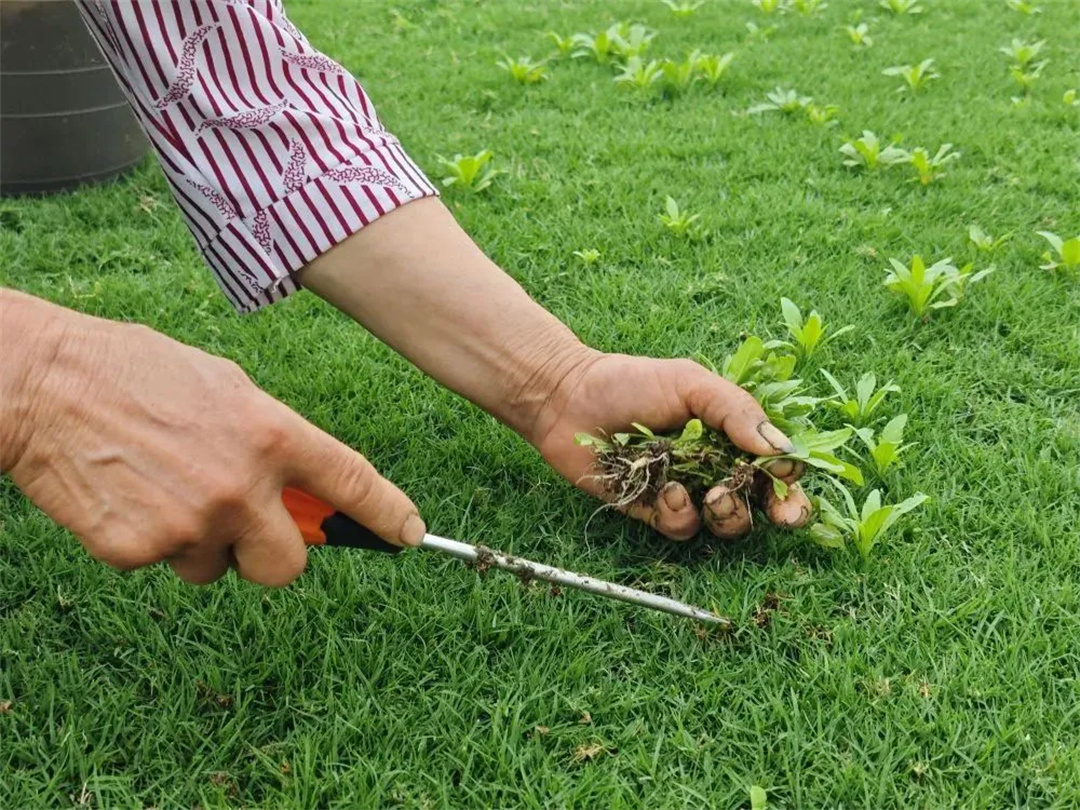 萬豪集團(tuán)匠心助力，6月齊聚重慶龍興足球場為國足吶喊助威！