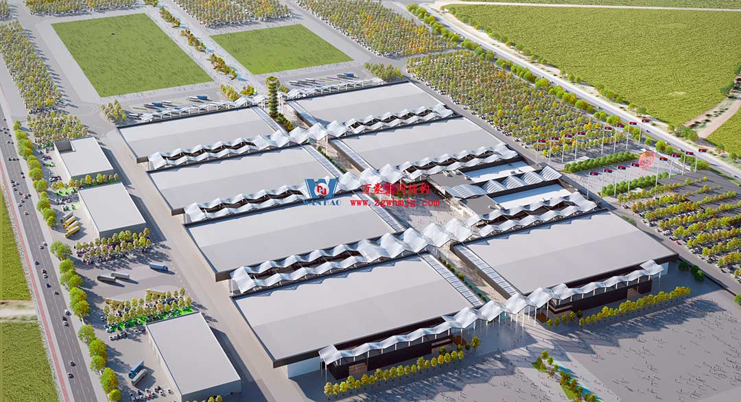 深化合作，推進(jìn)新時代中塞友誼建設(shè)