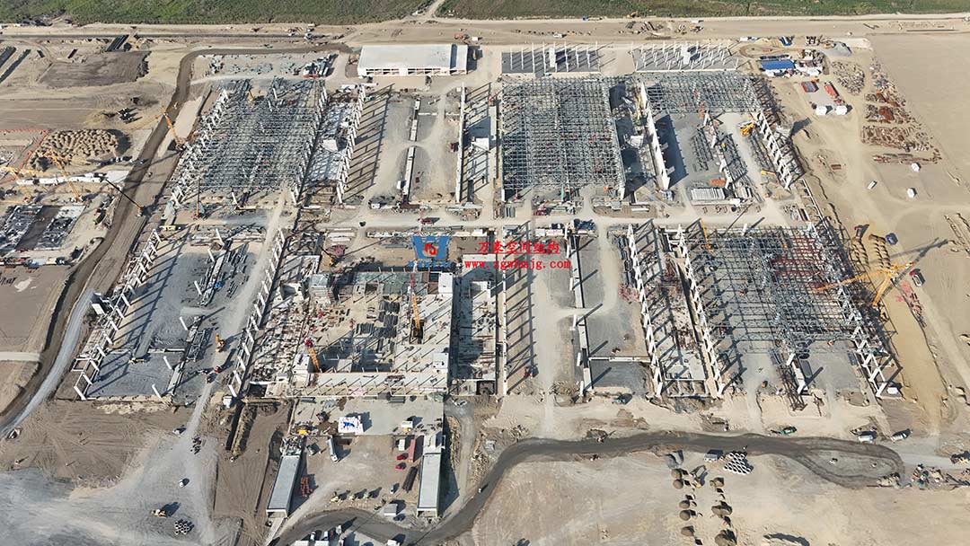 深化合作，推進(jìn)新時代中塞友誼建設(shè)