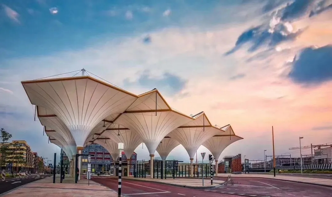 “棚”和“篷”，怎么區(qū)分？