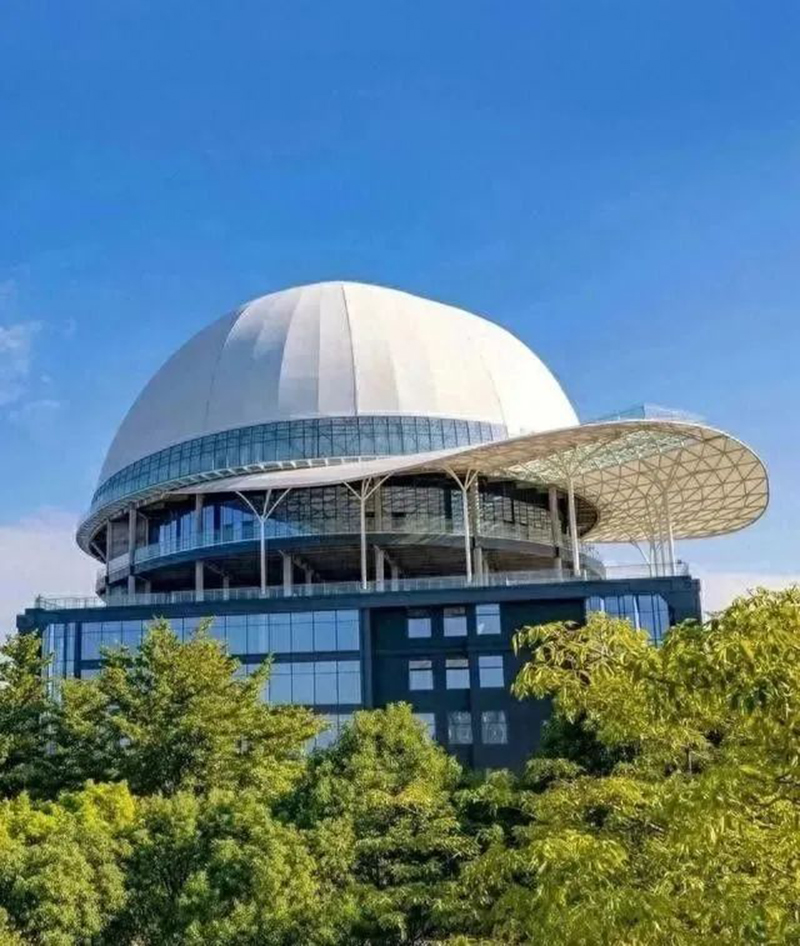 奇葩，好大一頂帽子